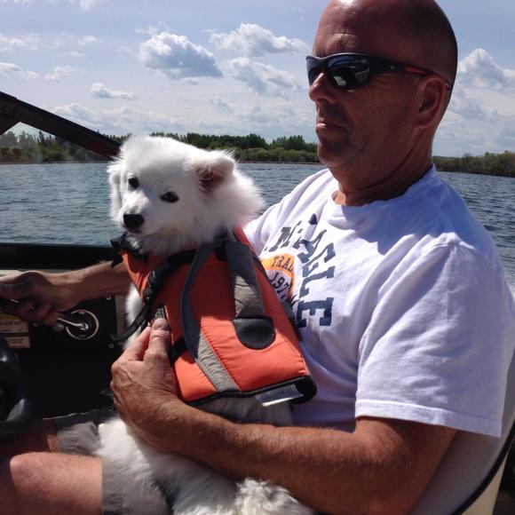 Meet your Posher, Barry - Picture 1 of 1